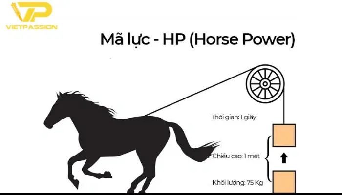 Tìm hiểu mã lực là gì? Mã lực là gì?