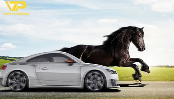 Các loại mã lực thông dụng Phân loại các loại mã lực